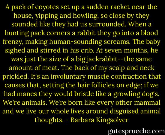 A pack of coyotes set up a sudden racket near the house, yipping and howling, so close by they sounded like they had us surrounded. When a hunting pack corners a rabbit they go into a blood frenzy, making human-sounding screams. The baby sighed and stirred in his crib. At seven months, he was just the size of a big jackrabbit--the same amount of meat. The back of my scalp and neck prickled. It's an involuntary muscle contraction that causes that, setting the hair follicles on edge; if we had manes they would bristle like a growling dog's. We're animals. We're born like every other mammal and we live our whole lives around disguised animal thoughts. - Barbara Kingsolver