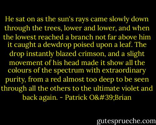 He sat on as the sun's rays came slowly down through the trees, lower and lower, and when the lowest reached a branch not far above him it caught a dewdrop poised upon a leaf. The drop instantly blazed crimson, and a slight movement of his head made it show all the colours of the spectrum with extraordinary purity, from a red almost too deep to be seen through all the others to the ultimate violet and back again. - Patrick O'Brian