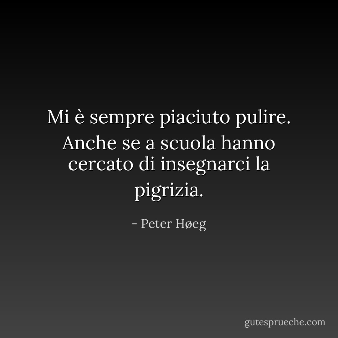Mi è sempre piaciuto pulire. Anche se a scuola hanno cercato di insegnarci la pigrizia. - Peter Høeg