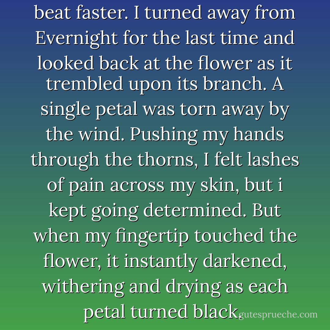 Thunder rumbled. My heart beat faster. I turned away from Evernight for the last time and looked back at the flower as it trembled upon its branch. A single petal was torn away by the wind. Pushing my hands through the thorns, I felt lashes of pain across my skin, but i kept going determined.<br />But when my fingertip touched the flower, it instantly darkened, withering and drying as each petal turned black.  - Claudia Gray