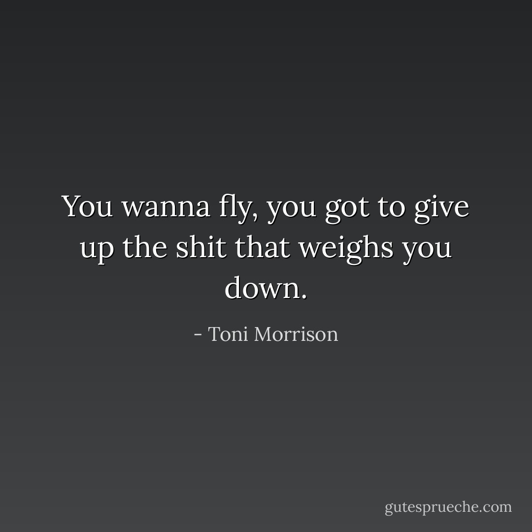 You wanna fly, you got to give up the shit that weighs you down. - Toni Morrison