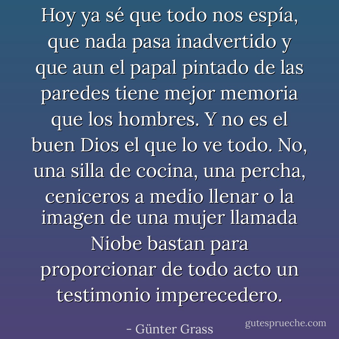 Hoy ya sé que todo nos espía, que nada pasa inadvertido y que aun el papal pintado de las paredes tiene mejor memoria que los hombres. Y no es el buen Dios el que lo ve todo. No, una silla de cocina, una percha, ceniceros a medio llenar o la imagen de una mujer llamada Niobe bastan para proporcionar de todo acto un testimonio imperecedero. - Günter Grass