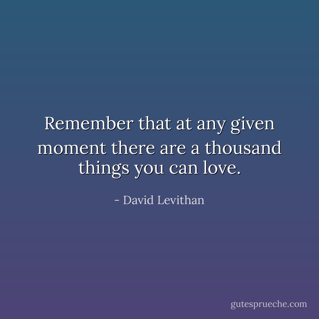 Remember that at any given moment there are a thousand things you can love. - David Levithan