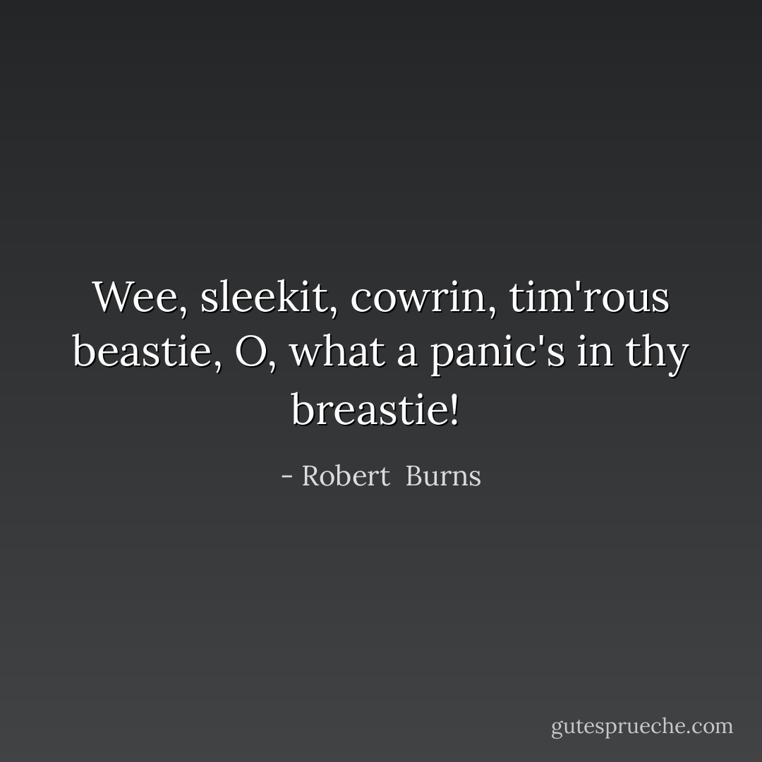 Wee, sleekit, cowrin, tim'rous beastie,<br />O, what a panic's in thy breastie!  - Robert  Burns