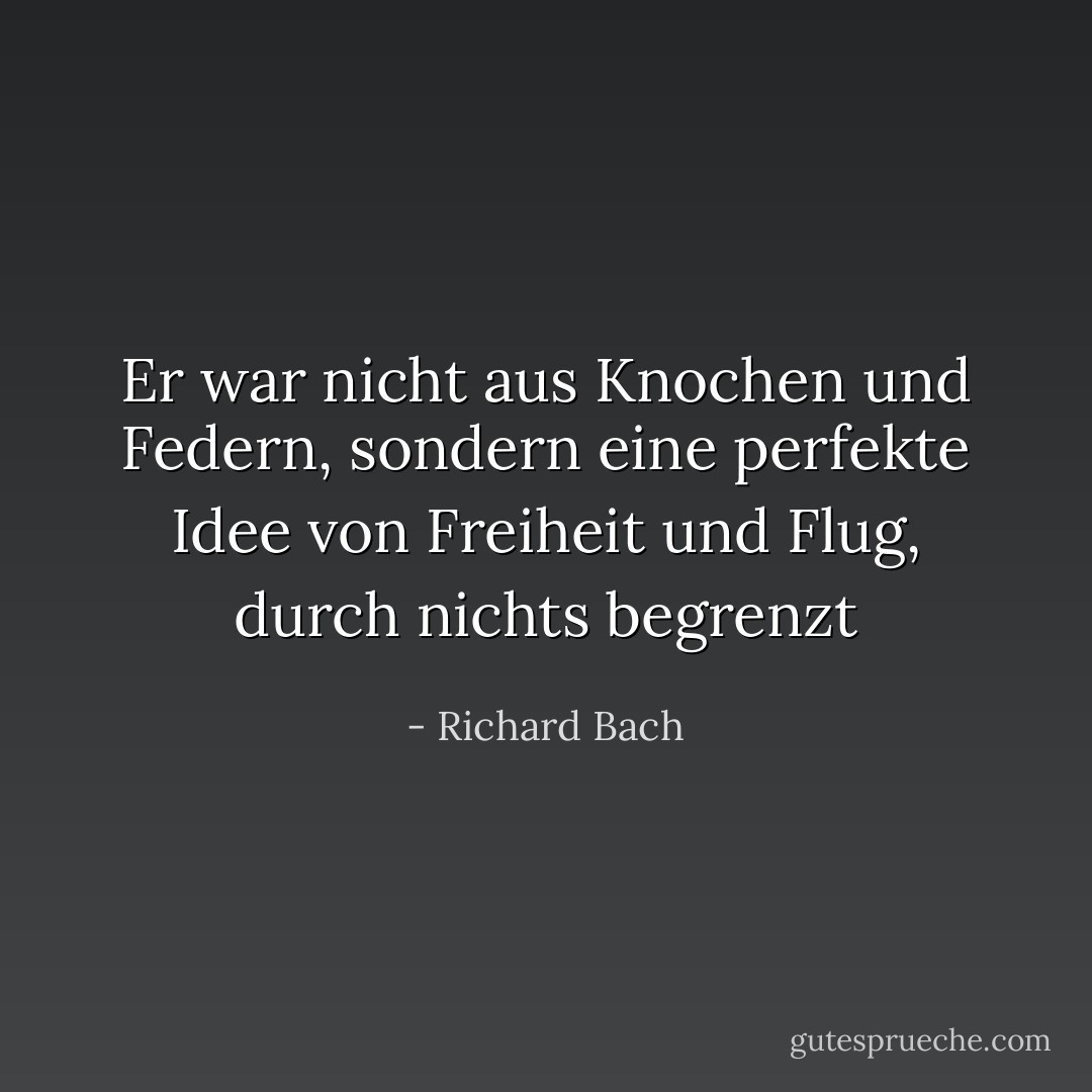 Er war nicht aus Knochen und Federn, sondern eine perfekte Idee von Freiheit und Flug, durch nichts begrenzt - Richard Bach<