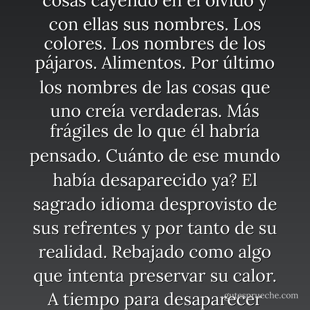 Como si el mundo se encogiera en torno a un núcleo de entidades desglosables. Las cosas cayendo en el olvido y con ellas sus nombres. Los colores. Los nombres de los pájaros. Alimentos. Por último los nombres de las cosas que uno creía verdaderas. Más frágiles de lo que él habría pensado. Cuánto de ese mundo había desaparecido ya? El sagrado idioma desprovisto de sus refrentes y por tanto de su realidad. Rebajado como algo que intenta preservar su calor. A tiempo para desaparecer para siempre en un abrir y cerrar de ojos. - Cormac McCarthy