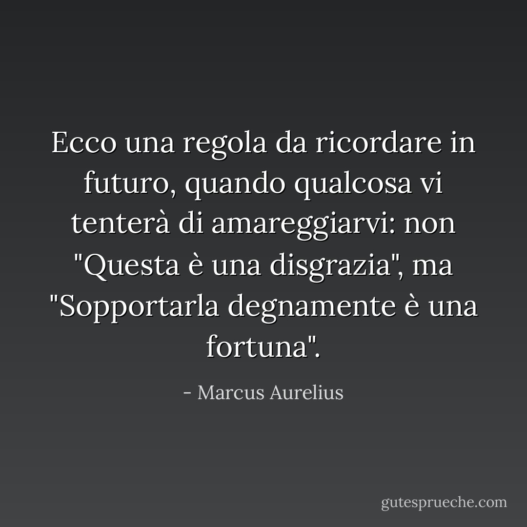 Ecco una regola da ricordare in futuro, quando qualcosa vi tenterà di amareggiarvi: non "Questa è una disgrazia", ma "Sopportarla degnamente è una fortuna". - Marcus Aurelius