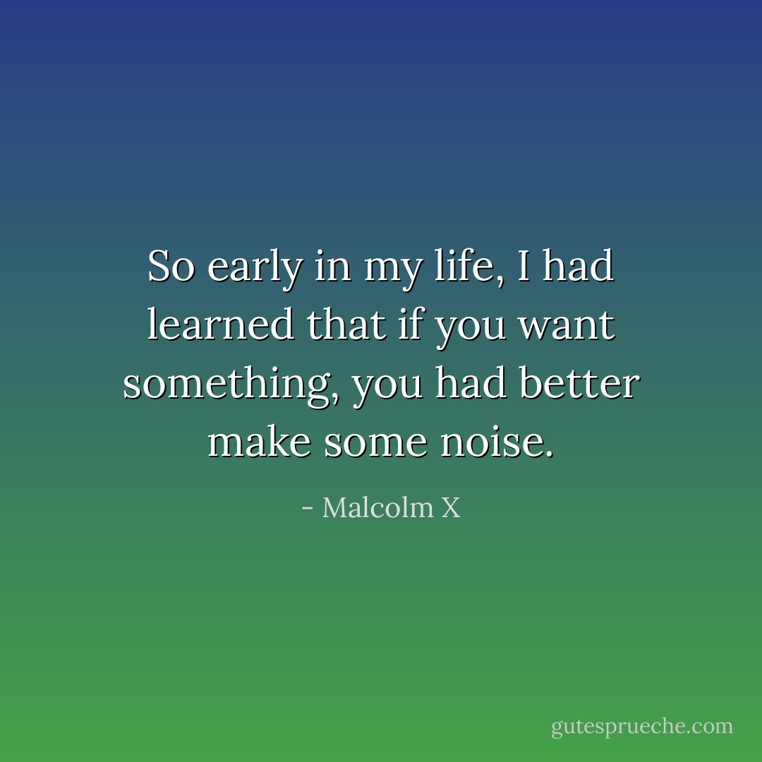 So early in my life, I had learned that if you want something, you had better make some noise. - Malcolm X