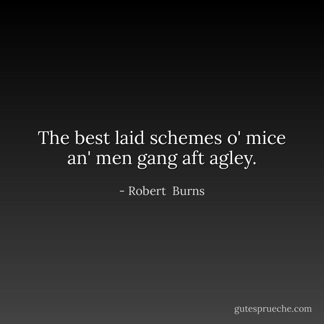 The best laid schemes o' mice an' men gang aft agley. - Robert  Burns