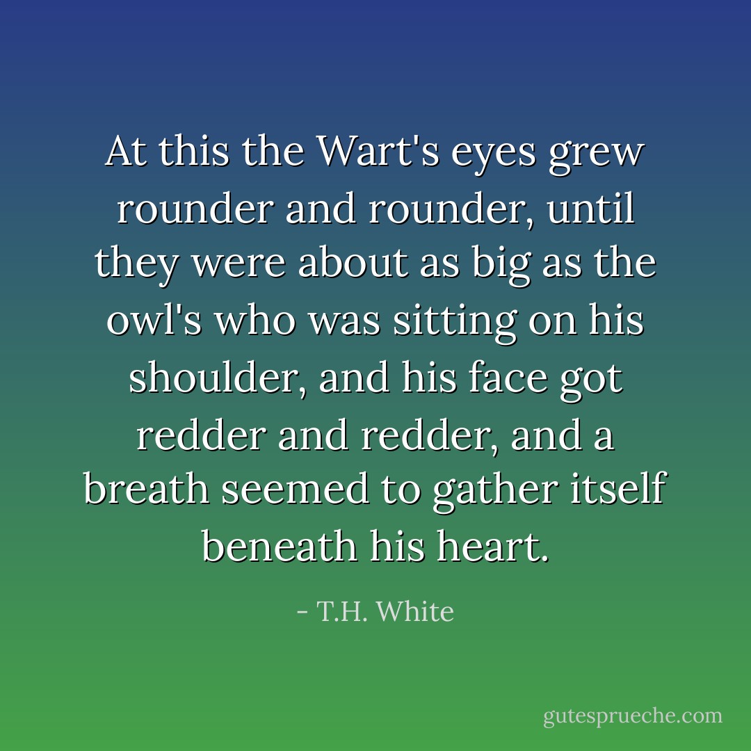 At this the Wart's eyes grew rounder and rounder, until they were about as big as the owl's who was sitting on his shoulder, and his face got redder and redder, and a breath seemed to gather itself beneath his heart. - T.H. White