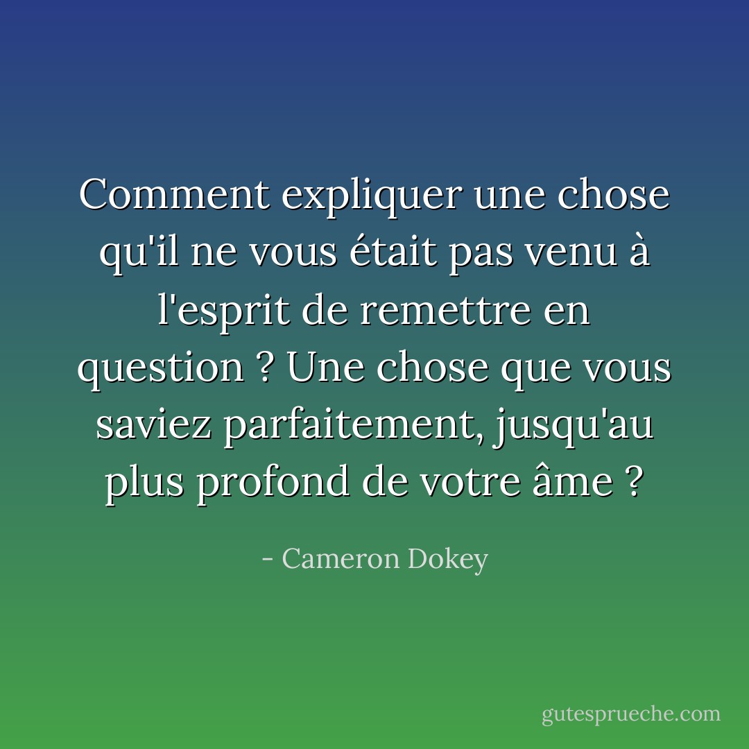 Comment expliquer une chose qu'il ne vous était pas venu à l'esprit de remettre en question ? Une chose que vous saviez parfaitement, jusqu'au plus profond de votre âme ? - Cameron Dokey