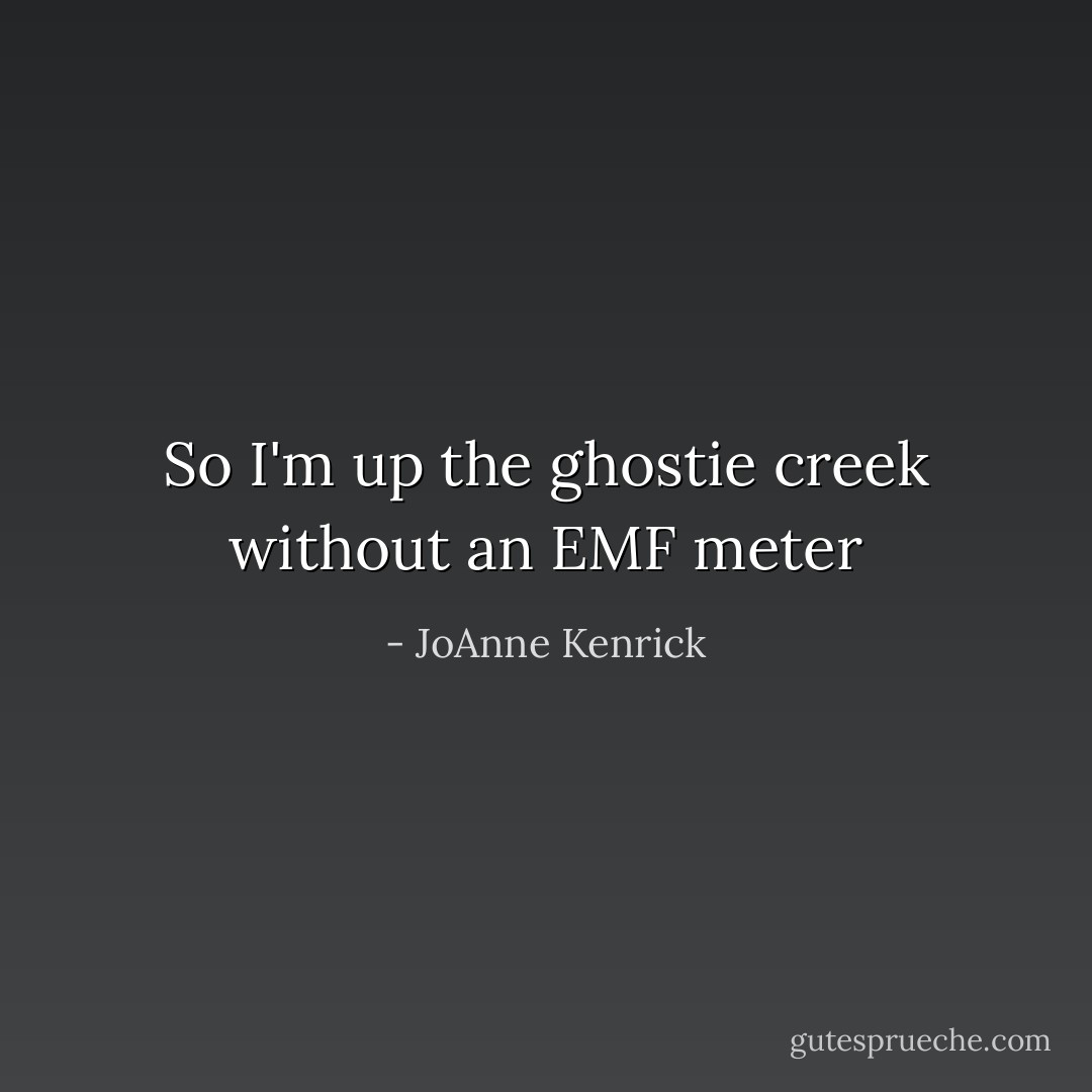 So I'm up the ghostie creek without an EMF meter - JoAnne Kenrick