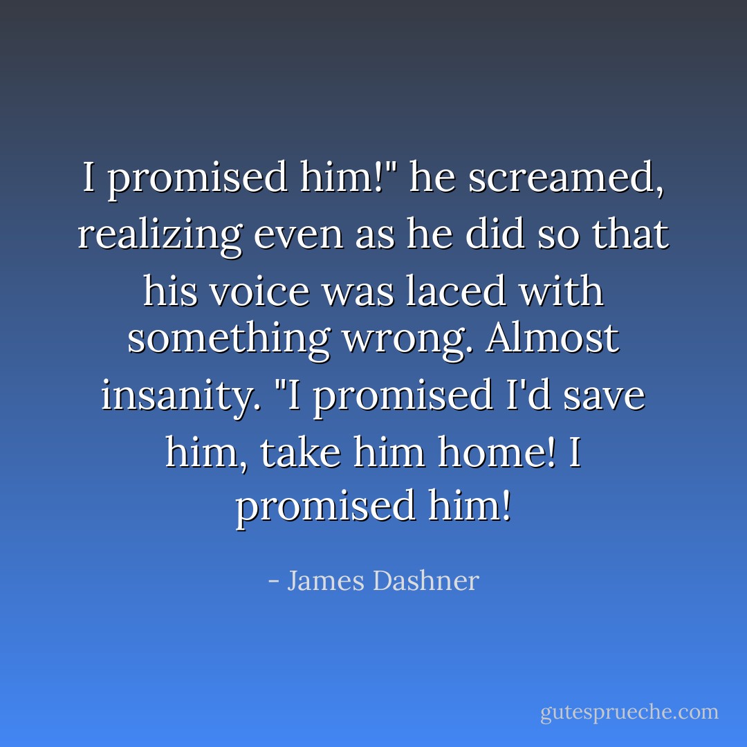 I promised him!" he screamed, realizing even as he did so that his voice was laced with something wrong. Almost insanity. "I promised I'd save him, take him home! I <i>promised</i> him! - James Dashner
