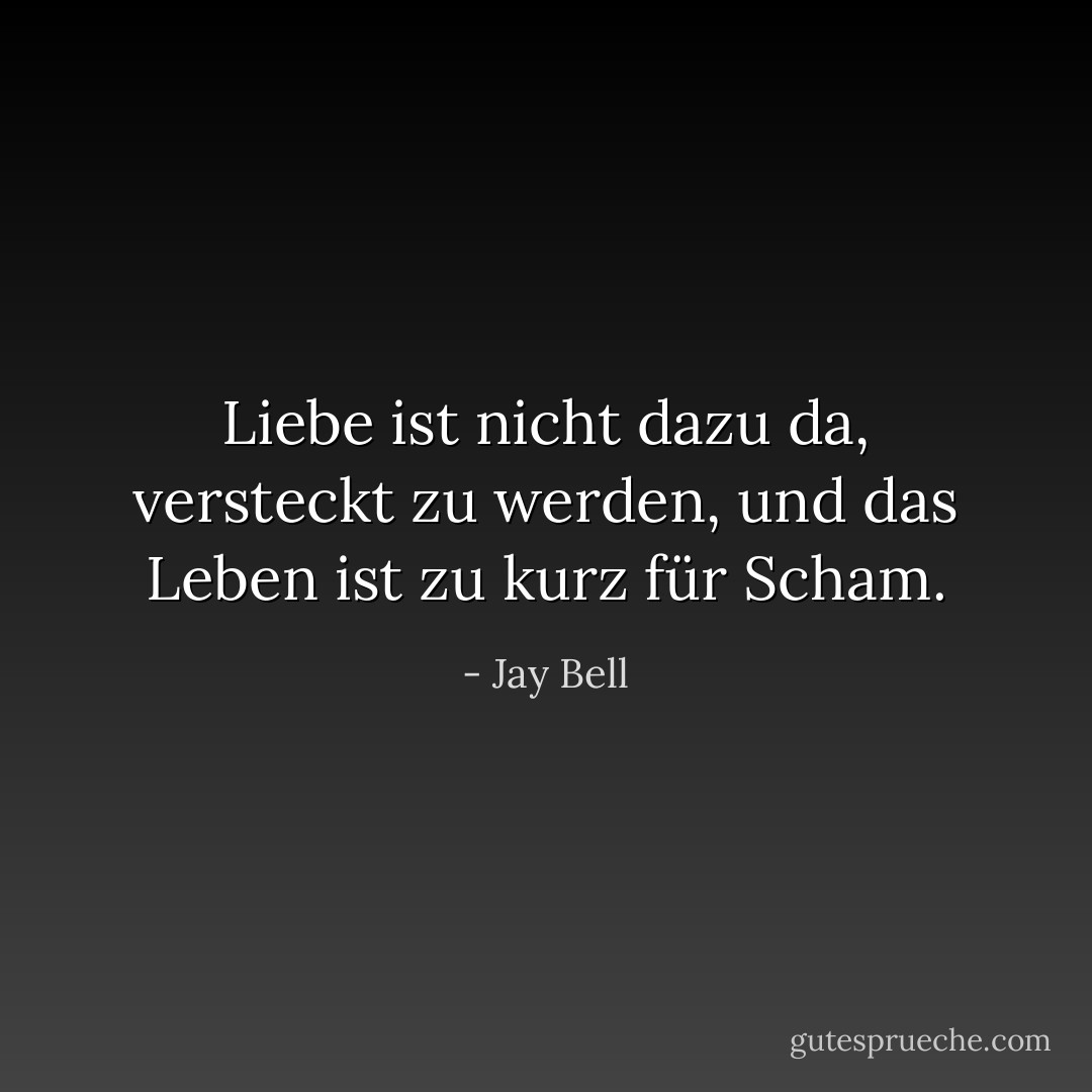 Liebe ist nicht dazu da, versteckt zu werden, und das Leben ist zu kurz für Scham. - Jay Bell<