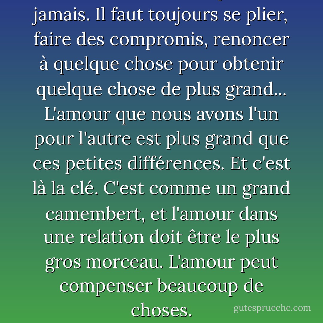 Aucune relation n'est parfaite, jamais. Il faut toujours se plier, faire des compromis, renoncer à quelque chose pour obtenir quelque chose de plus grand... L'amour que nous avons l'un pour l'autre est plus grand que ces petites différences. Et c'est là la clé. C'est comme un grand camembert, et l'amour dans une relation doit être le plus gros morceau. L'amour peut compenser beaucoup de choses. - Sarah Dessen
