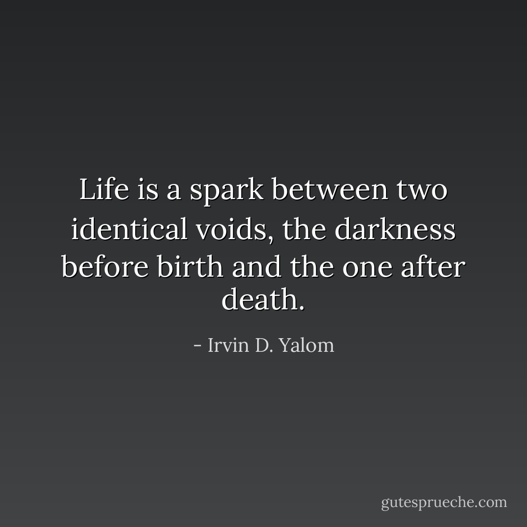 Life is a spark between two identical voids, the darkness before birth and the one after death. - Irvin D. Yalom