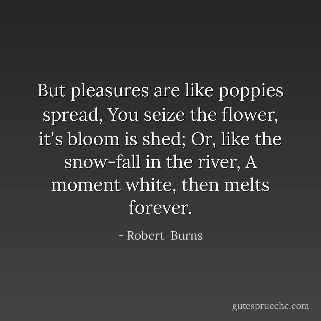 But pleasures are like poppies spread,<br />You seize the flower, it's bloom is shed;<br />Or, like the snow-fall in the river,<br />A moment white, then melts forever. - Robert  Burns