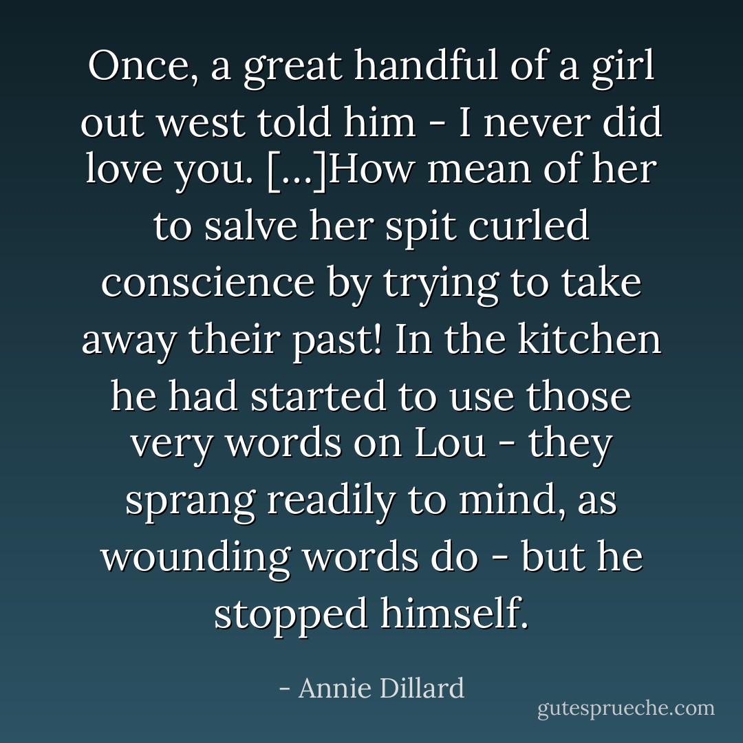 Once, a great handful of a girl out west told him - I never did love you. […]How mean of her to salve her spit curled conscience by trying to take away their past! In the kitchen he had started to use those very words on Lou - they sprang readily to mind, as wounding words do - but he stopped himself. - Annie Dillard