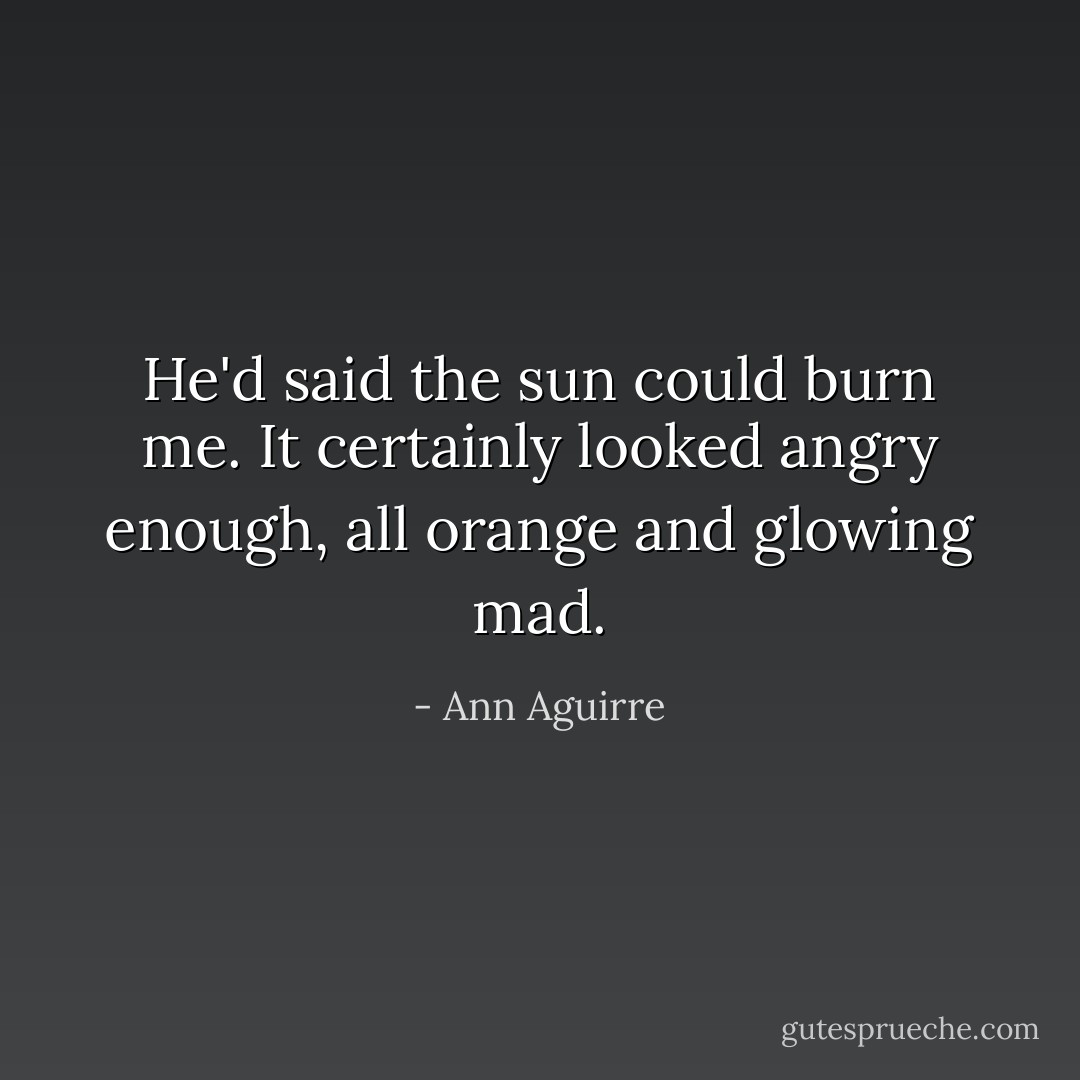 He'd said the sun could burn me. It certainly looked angry enough, all orange and glowing mad. - Ann Aguirre