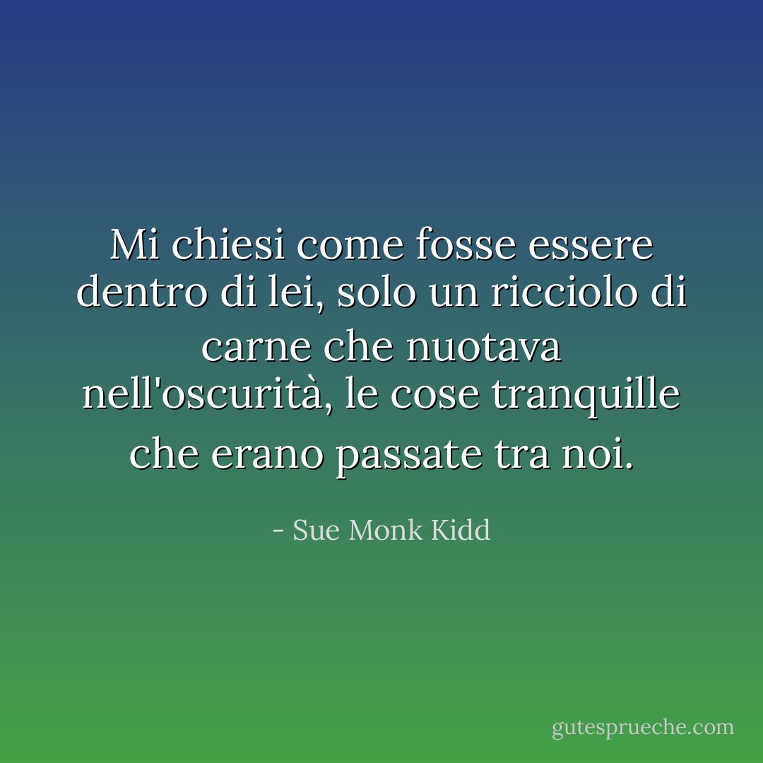 Mi chiesi come fosse essere dentro di lei, solo un ricciolo di carne che nuotava nell'oscurità, le cose tranquille che erano passate tra noi. - Sue Monk Kidd