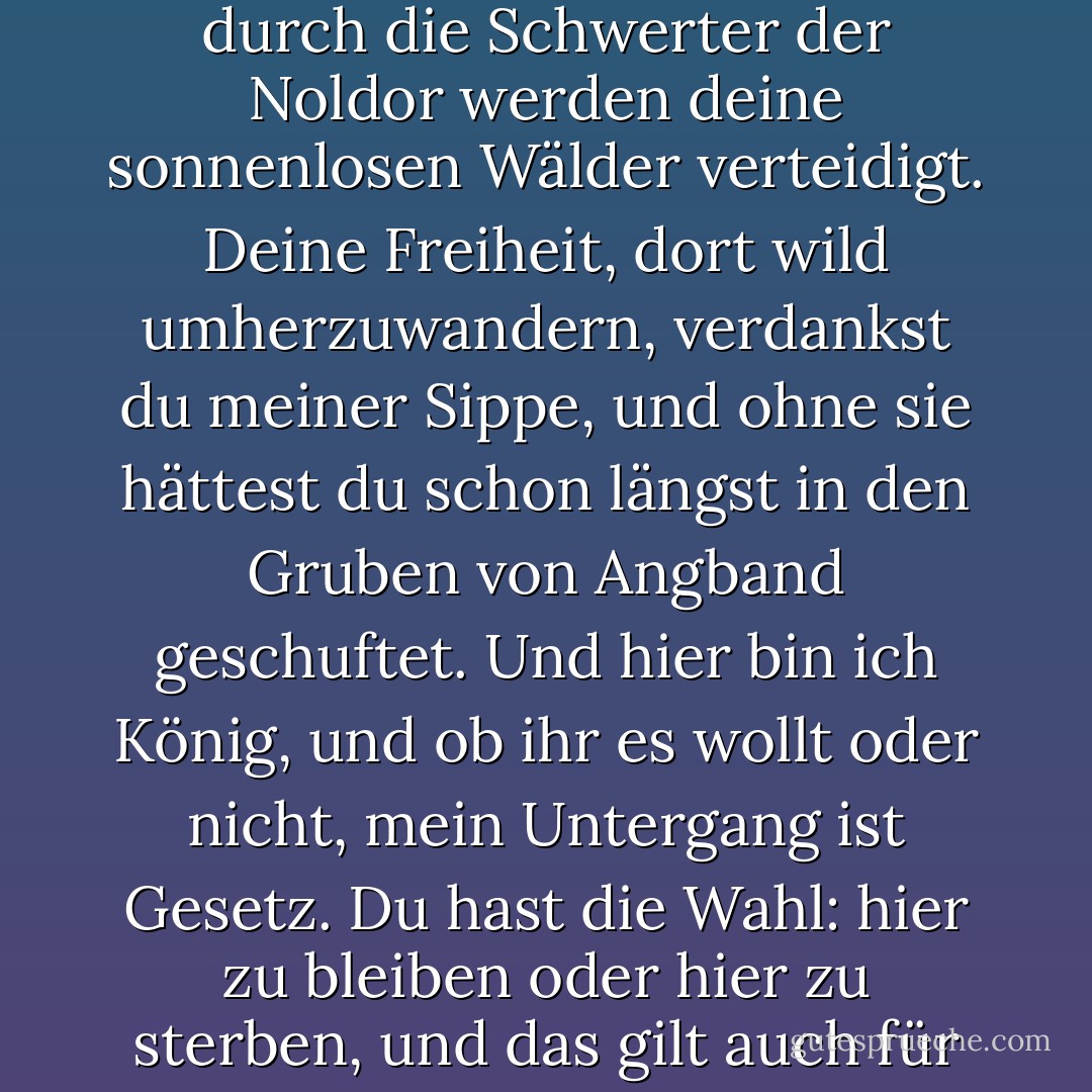 Ich werde nicht mit dir diskutieren, Dunkelelf. Allein durch die Schwerter der Noldor werden deine sonnenlosen Wälder verteidigt. Deine Freiheit, dort wild umherzuwandern, verdankst du meiner Sippe, und ohne sie hättest du schon längst in den Gruben von Angband geschuftet. Und hier bin ich König, und ob ihr es wollt oder nicht, mein Untergang ist Gesetz. Du hast die Wahl: hier zu bleiben oder hier zu sterben, und das gilt auch für deinen Sohn. - J.R.R. Tolkien<