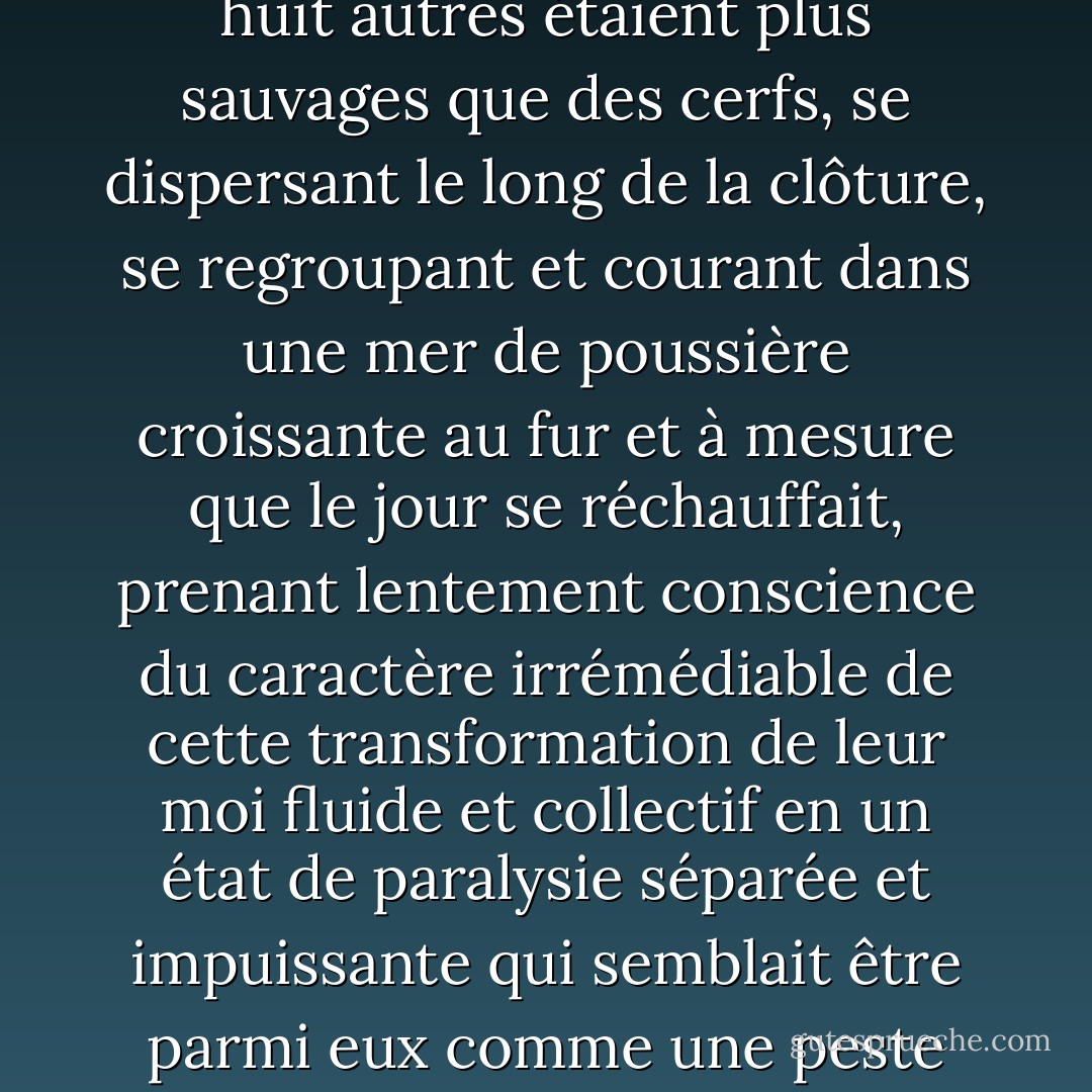 En milieu de matinée, huit des chevaux étaient attachés et les huit autres étaient plus sauvages que des cerfs, se dispersant le long de la clôture, se regroupant et courant dans une mer de poussière croissante au fur et à mesure que le jour se réchauffait, prenant lentement conscience du caractère irrémédiable de cette transformation de leur moi fluide et collectif en un état de paralysie séparée et impuissante qui semblait être parmi eux comme une peste rampante. - Cormac McCarthy