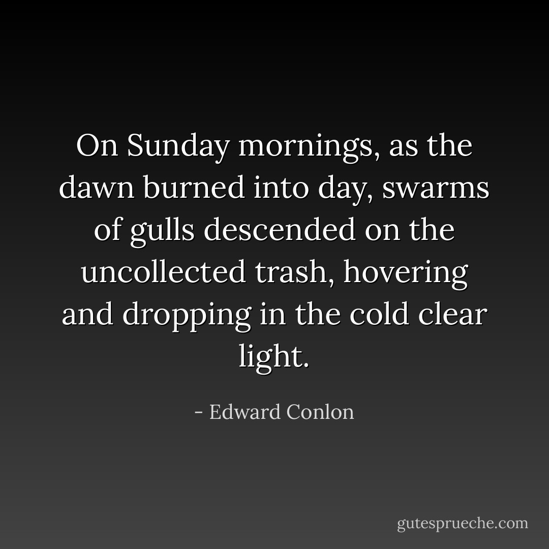 On Sunday mornings, as the dawn burned into day, swarms of gulls descended on the uncollected trash, hovering and dropping in the cold clear light. - Edward Conlon