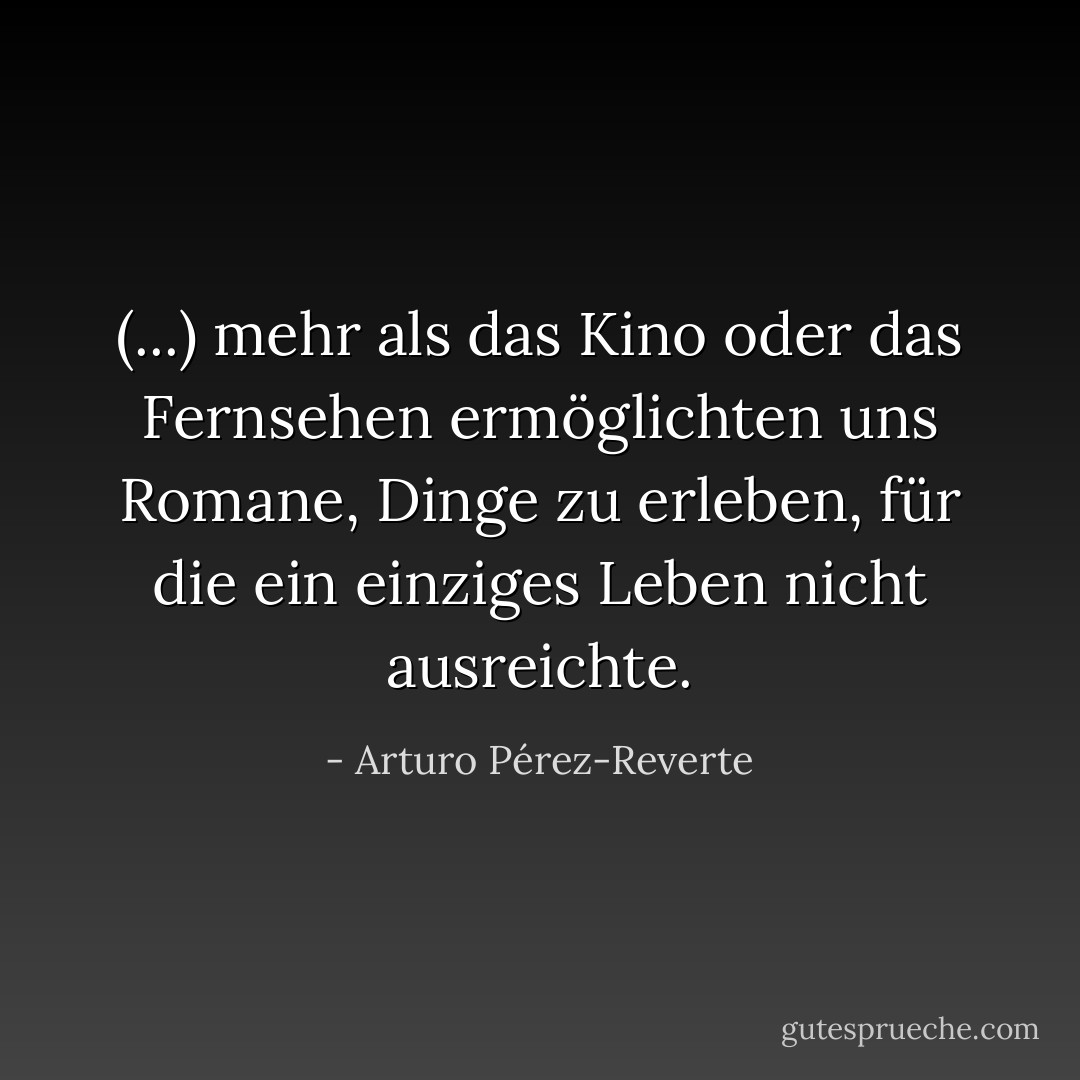 (...) mehr als das Kino oder das Fernsehen ermöglichten uns Romane, Dinge zu erleben, für die ein einziges Leben nicht ausreichte. - Arturo Pérez-Reverte<