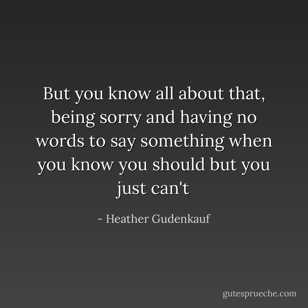 But you know all about that, being sorry and having no words to say something when you know you should but you just can't - Heather Gudenkauf