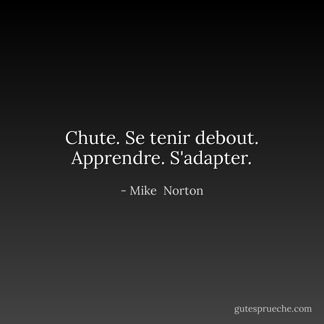 Chute. Se tenir debout. Apprendre. S'adapter. - Mike  Norton