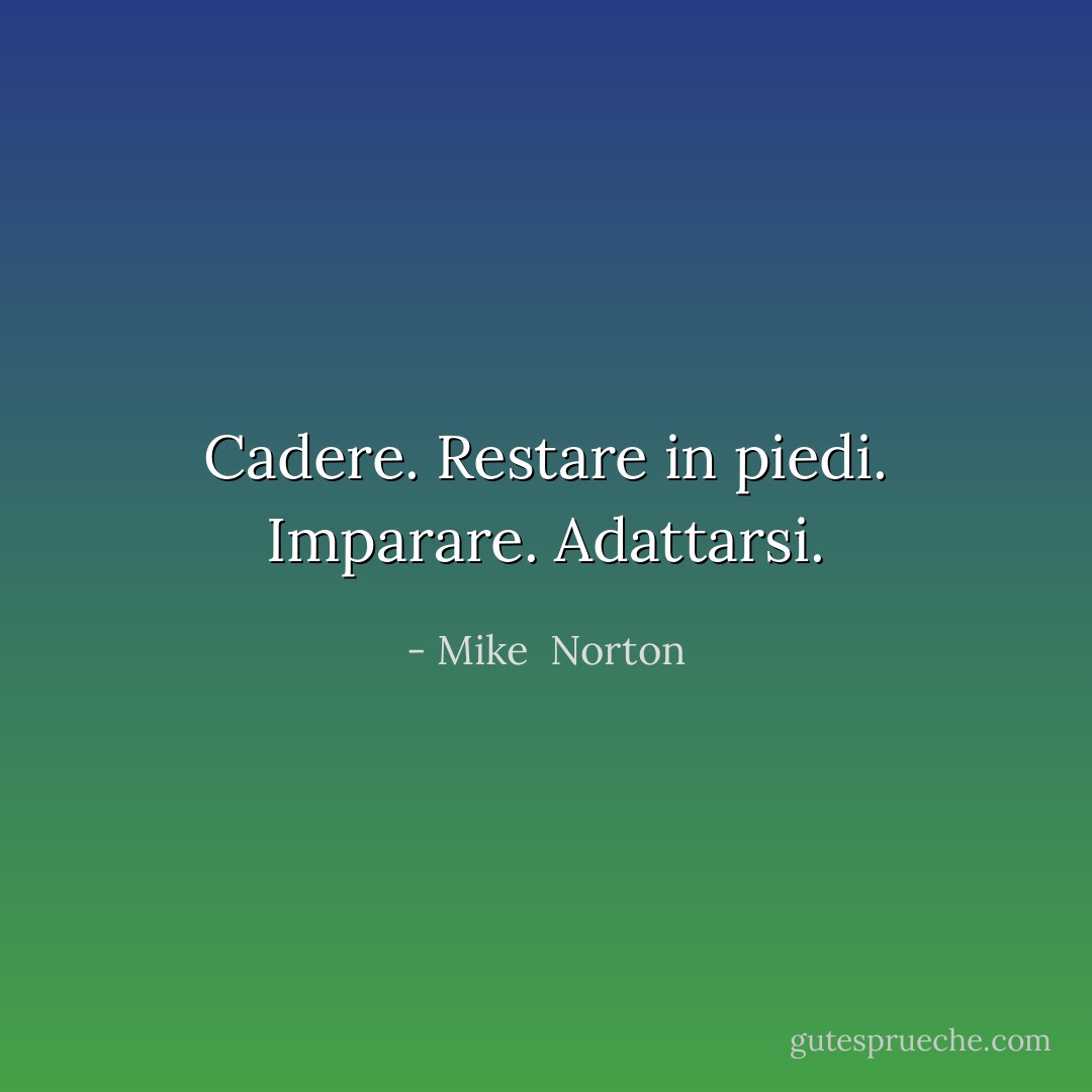 Cadere. Restare in piedi. Imparare. Adattarsi. - Mike  Norton