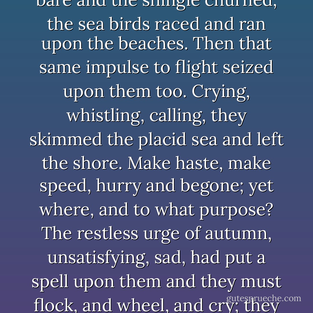 ...as the slow sea sucked at the shore and then withdrew, leaving the strip of seaweed bare and the shingle churned, the sea birds raced and ran upon the beaches. Then that same impulse to flight seized upon them too. Crying, whistling, calling, they skimmed the placid sea and left the shore. Make haste, make speed, hurry and begone; yet where, and to what purpose? The restless urge of autumn, unsatisfying, sad, had put a spell upon them and they must flock, and wheel, and cry; they must spill themselves of motion before winter came. - Daphne du Maurier