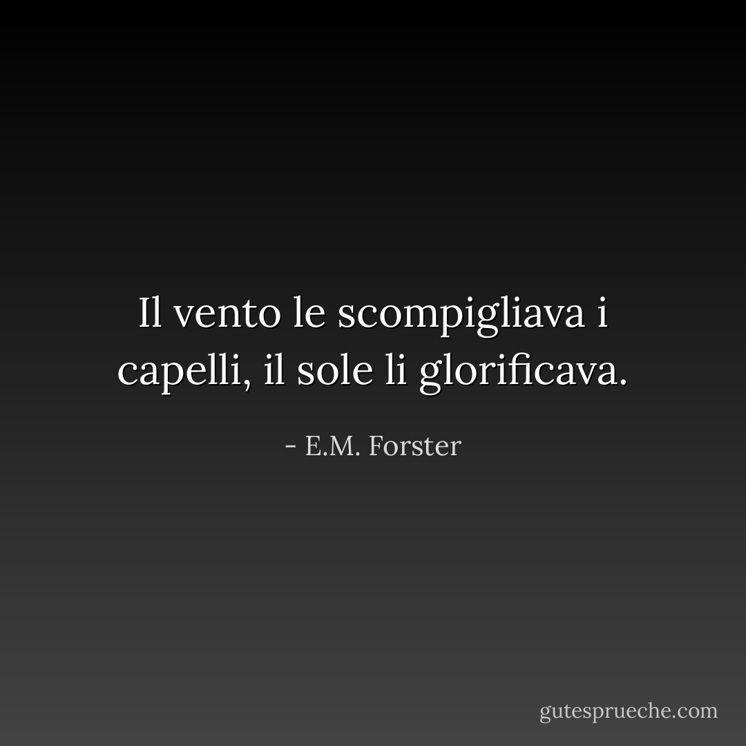 Il vento le scompigliava i capelli, il sole li glorificava. - E.M. Forster