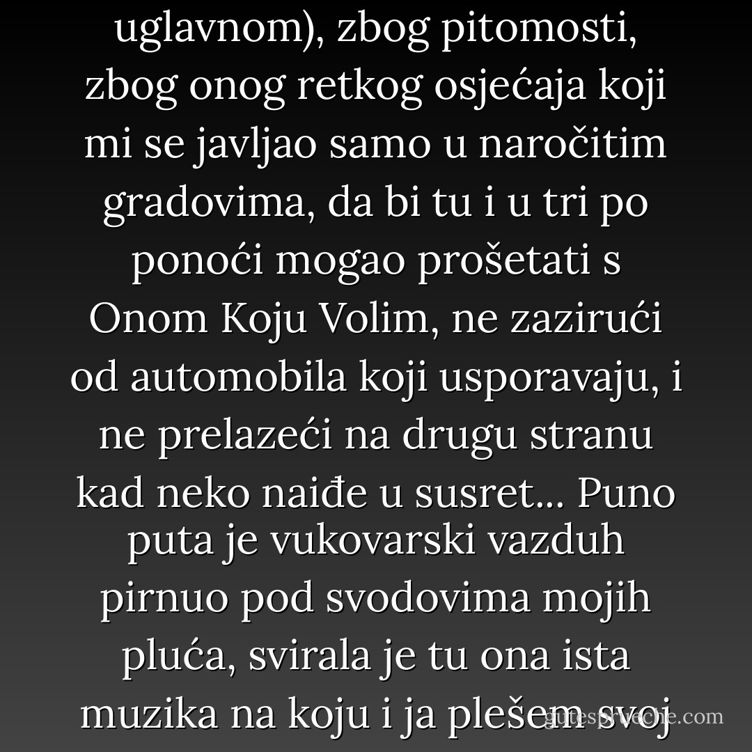 Bože moj...<br />Prošao sam kroz Vukovar mnogo puta...(...)<br />Kad sam dolazio sa zapadne strane, iz Italije, sa mora, iz Zagreba ili Ljubljane, tu sam prvi put nailazio na putokaz za Novi Sad, i, iako je kraj imena moje varoši čitko pisalo ''82 km'', tog momenta sam, iz bezbroj razloga, uvek računao da sam stigao Kući?<br />Dudule je u pravu, liče, još kako liče...<br />Ne samo zbog Dunava, bokora zelenila, austrougarskih kućerina i rasipnički širokih ulica, već (i uglavnom), zbog pitomosti, zbog onog retkog osjećaja koji mi se javljao samo u naročitim gradovima, da bi tu i u tri po ponoći mogao prošetati s Onom Koju Volim, ne zazirući od automobila koji usporavaju, i ne prelazeći na drugu stranu kad neko naiđe u susret...<br />Puno puta je vukovarski vazduh pirnuo pod svodovima mojih pluća, svirala je tu ona ista muzika na koju i ja plešem svoj život, mirni ljudi i stabilne lađe, tesne suknje i komotne čarde, obala i gimnazija, korzo i pozorište, sasvim dovoljno za pametnog čoveka...<br />A opet...<br />Bojim se da na taj gradić nikad više neću pomisliti onako kako ga se sećam, nego onako kako mi se prikazao u sledećoj Duletovoj tišini, u onoj poslednjoj, najdužoj, koju nisam ni uspeo da odbrojim do kraja, jer je otišao nenadano, ne rekavši pozdrav... - Đorđe Balašević