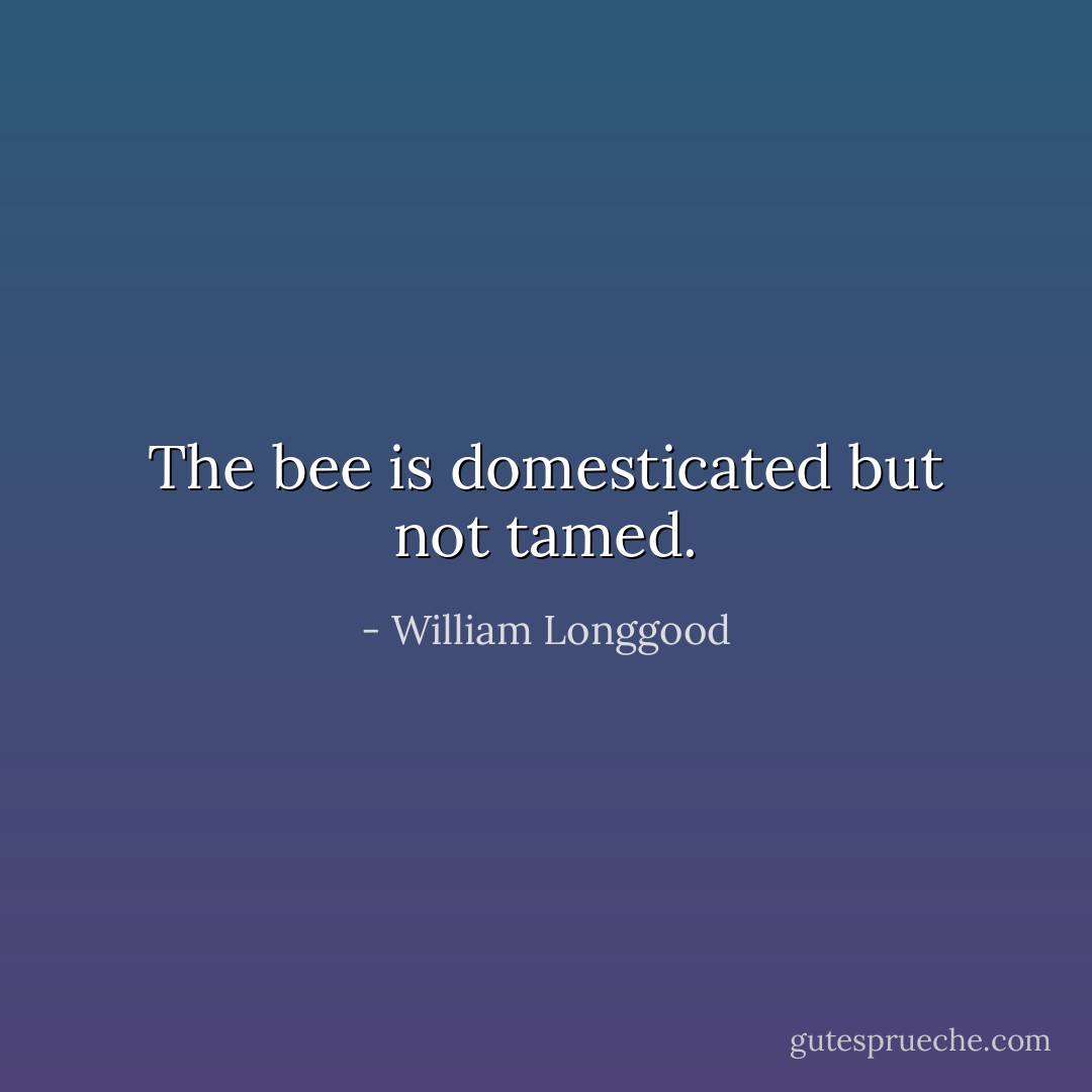 The bee is domesticated but not tamed. - William Longgood
