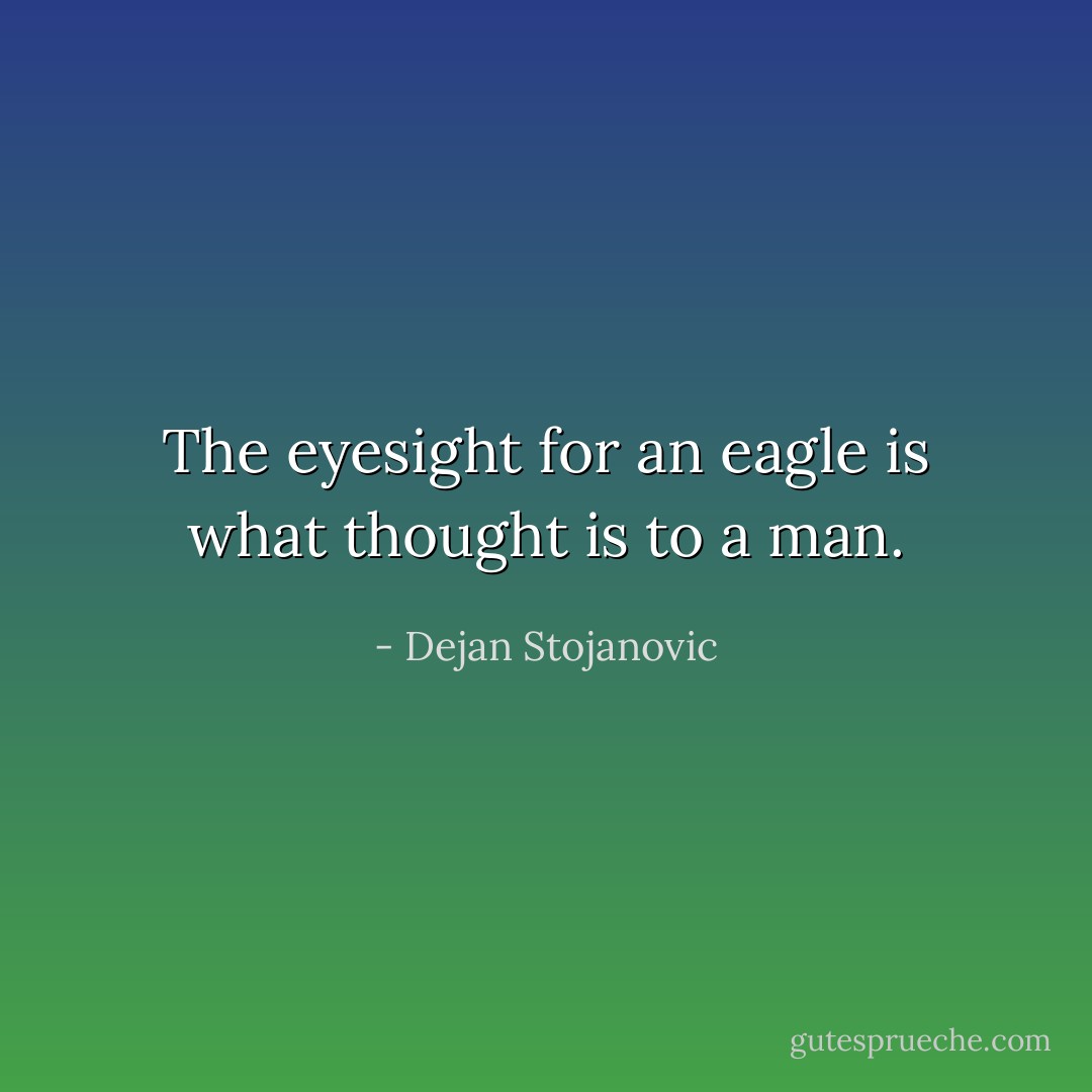 The eyesight for an eagle is what thought is to a man. - Dejan Stojanovic