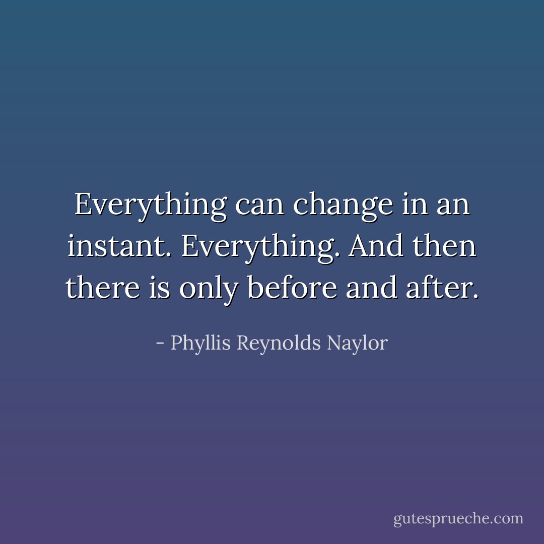 Everything can change in an instant. Everything. And then there is only before and after. - Phyllis Reynolds Naylor