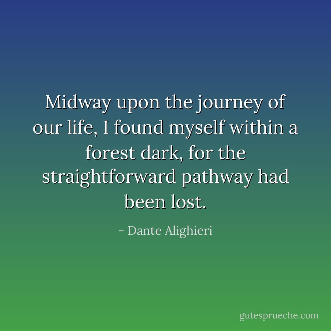 Midway upon the journey of our life, I found myself within a forest dark, for the straightforward pathway had been lost. - Dante Alighieri
