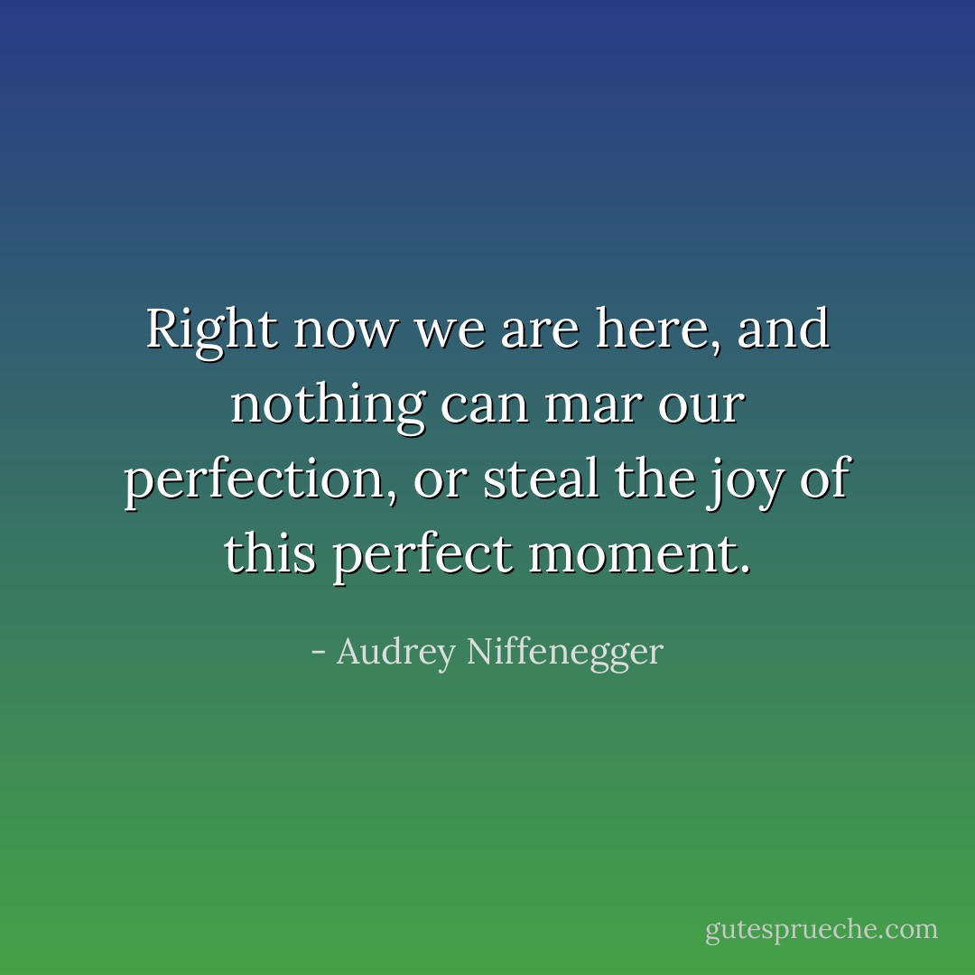 Right now we are here, and nothing can mar our perfection, or steal the joy of this perfect moment. - Audrey Niffenegger