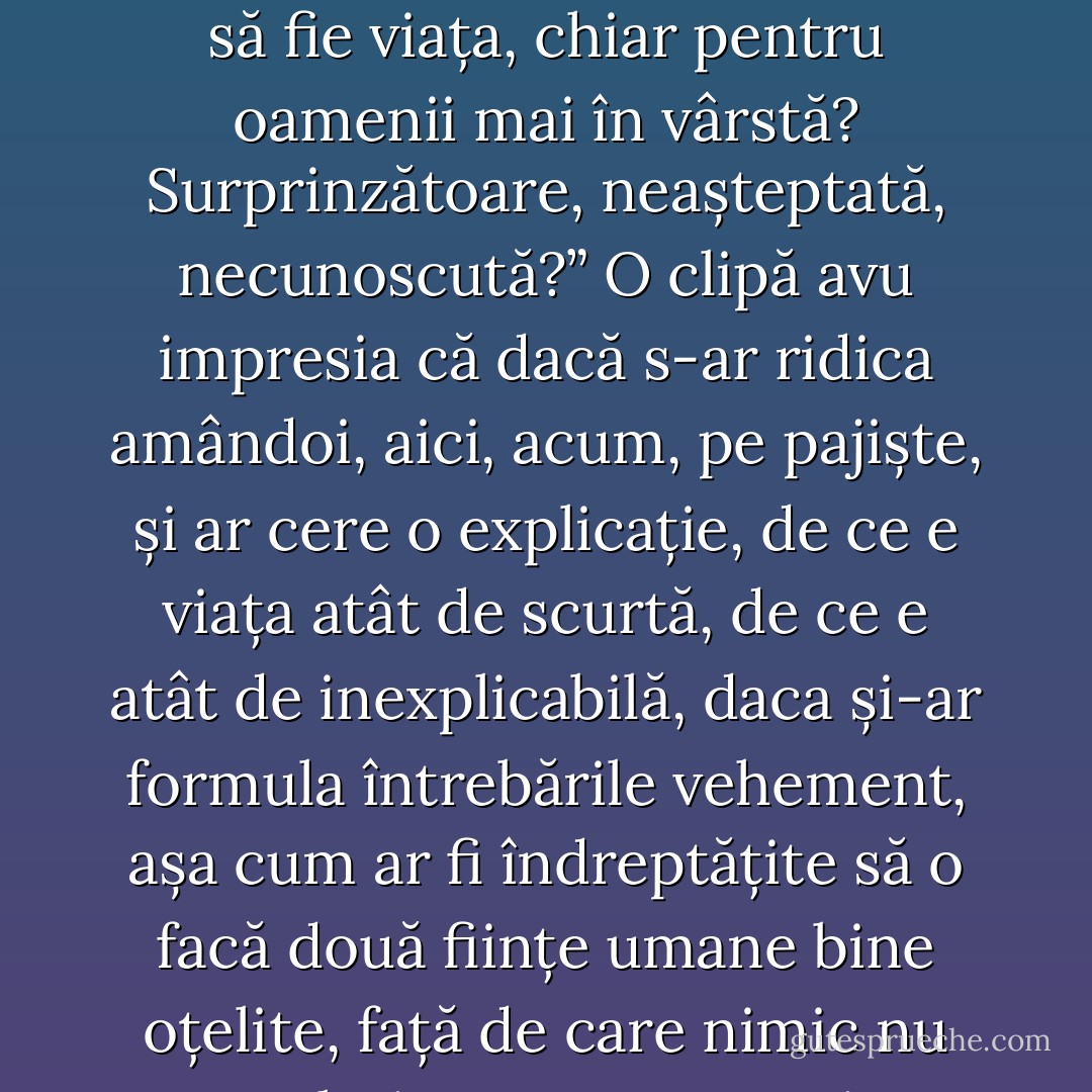 Ce era asta? Ce însemna asta? Oare lucrurile puteau să-și întindă mâna, așa, și să te zgâlțâie; lama de cuțit putea să taie? pumnul să inșface? Nu exista o siguranță? Nicio posibilitate să înveți pe de rost căile vieții? Nicio îndrumare, niciun adăpost, totul era miracol, saltul din vârful unui pisc în spațiu? E posibil ca asta să fie viața, chiar pentru oamenii mai în vârstă? Surprinzătoare, neașteptată, necunoscută?” O clipă avu impresia că dacă s-ar ridica amândoi, aici, acum, pe pajiște, și ar cere o explicație, de ce e viața atât de scurtă, de ce e atât de inexplicabilă, daca și-ar formula întrebările vehement, așa cum ar fi îndreptățite să o facă două ființe umane bine oțelite, față de care nimic nu trebuie ascuns, atunci frumusețea s-ar desfășura; vidul s-ar umple; arabescurile acelea deșarte s-ar împreuna într-o formă; dacă ei doi ar striga destul de tare, doamna Ramsay s-ar întoarce. ”Doamnă Ramsay! strigă cu glas tare. Doamnă Ramsay!” Lacrimile i se rostogoleau pe obraji. - Virginia Woolf