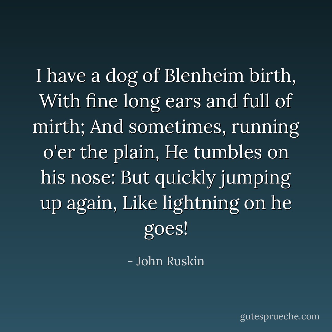 I have a dog of Blenheim birth,<br />With fine long ears and full of mirth;<br />And sometimes, running o'er the plain,<br />He tumbles on his nose:<br />But quickly jumping up again,<br />Like lightning on he goes! - John Ruskin