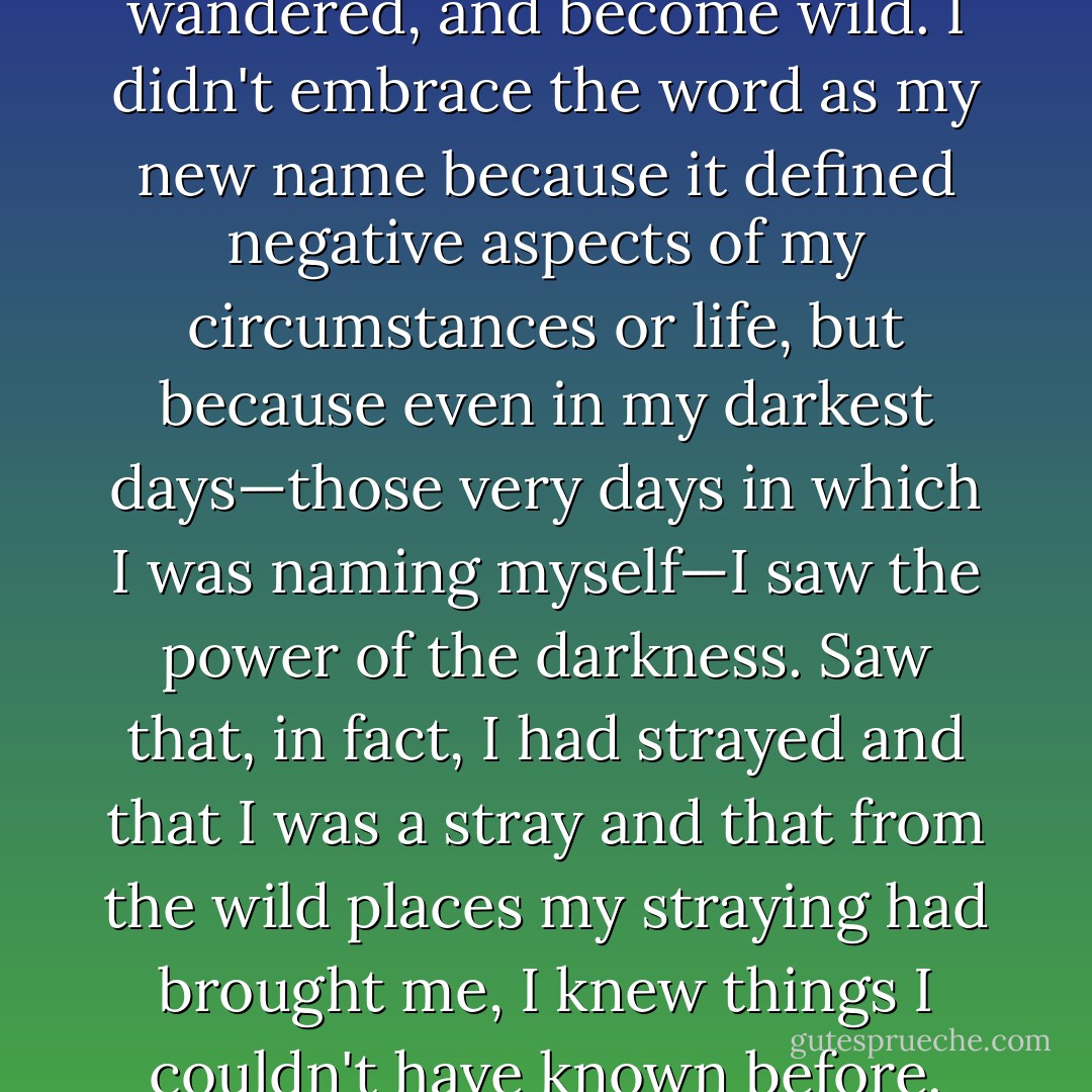I had diverged, digressed, wandered, and become wild. I didn't embrace the word as my new name because it defined negative aspects of my circumstances or life, but because even in my darkest days—those very days in which I was naming myself—I saw the power of the darkness. Saw that, in fact, I had strayed and that I was a stray and that from the wild places my straying had brought me, I knew things I couldn't have known before. - Cheryl Strayed