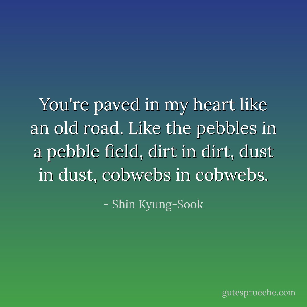 You're paved in my heart like an old road. Like the pebbles in a pebble field, dirt in dirt, dust in dust, cobwebs in cobwebs. - Shin Kyung-Sook