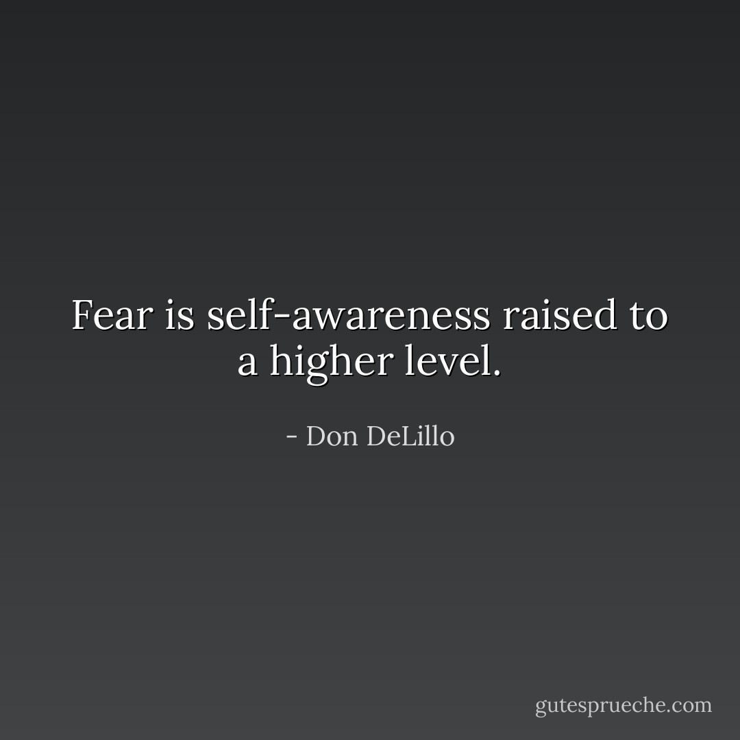 Fear is self-awareness raised to a higher level. - Don DeLillo