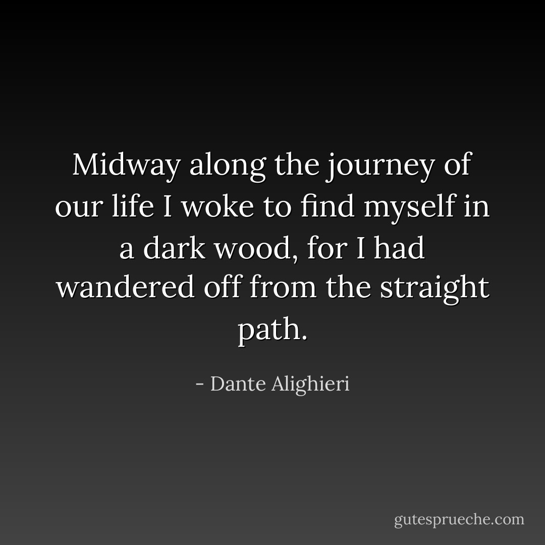 Midway along the journey of our life<br />I woke to find myself in a dark wood,<br />for I had wandered off from the straight path. - Dante Alighieri