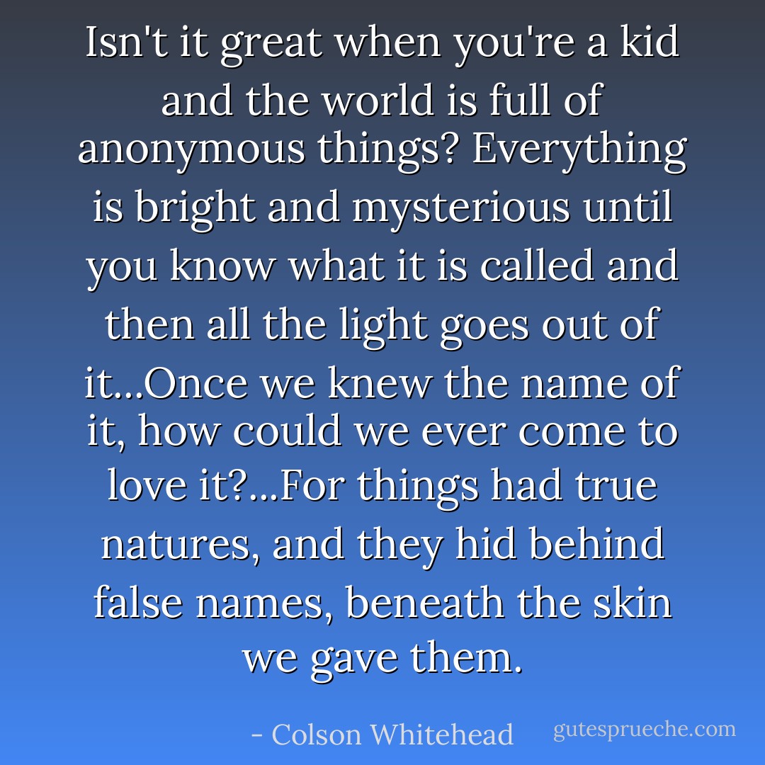 Isn't it great when you're a kid and the world is full of anonymous things? Everything is bright and mysterious until you know what it is called and then all the light goes out of it...Once we knew the name of it, how could we ever come to love it?...For things had true natures, and they hid behind false names, beneath the skin we gave them. - Colson Whitehead