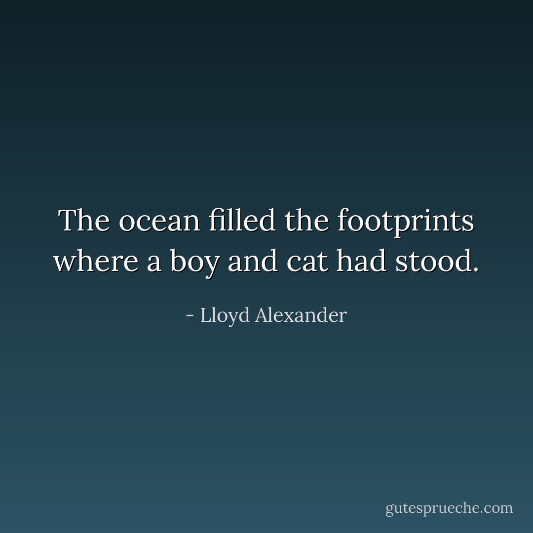The ocean filled the footprints where a boy and cat had stood. - Lloyd Alexander