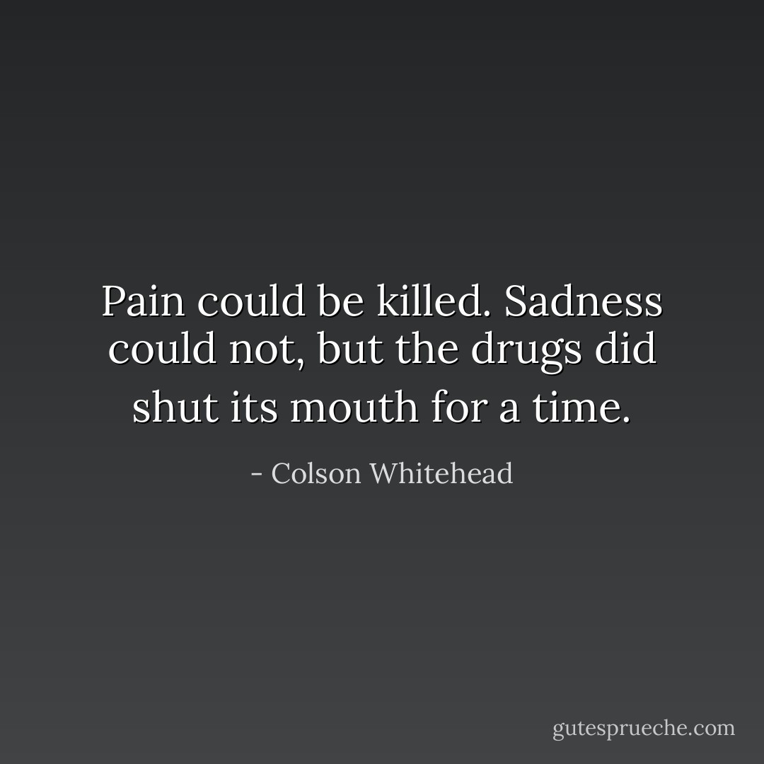 Pain could be killed. Sadness could not, but the drugs did shut its mouth for a time. - Colson Whitehead