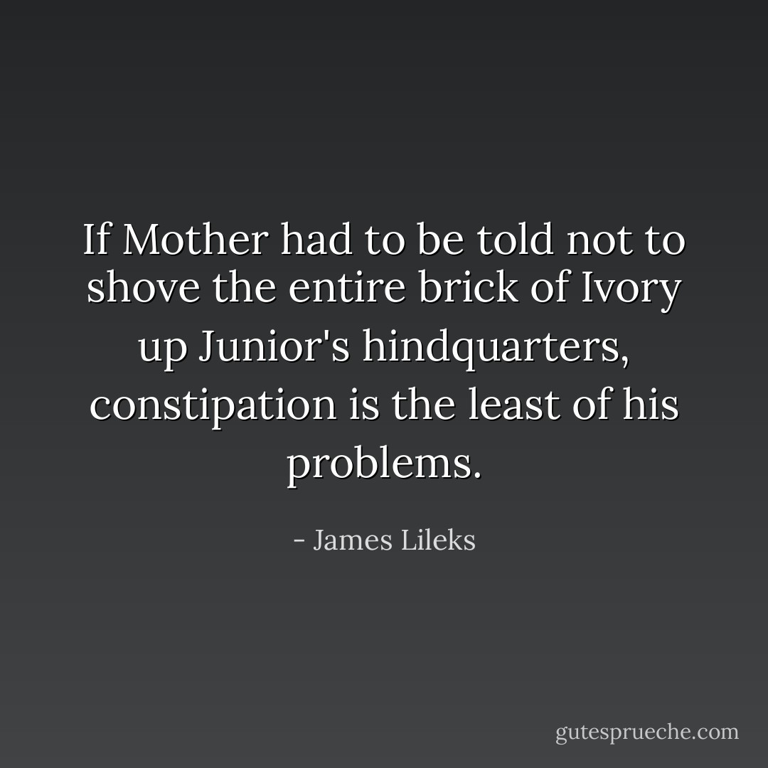If Mother had to be told not to shove the entire brick of Ivory up Junior's hindquarters, constipation is the least of his problems. - James Lileks