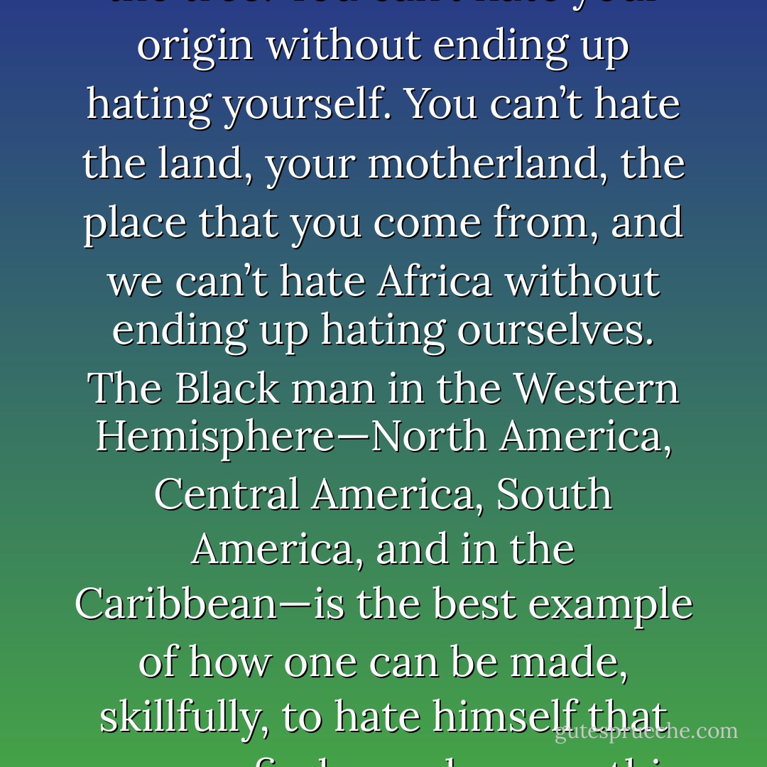 You can’t hate the roots of the tree without ending up hating the tree. You can’t hate your origin without ending up hating yourself. You can’t hate the land, your motherland, the place that you come from, and we can’t hate Africa without ending up hating ourselves. The Black man in the Western Hemisphere—North America, Central America, South America, and in the Caribbean—is the best example of how one can be made, skillfully, to hate himself that you can find anywhere on this earth. - Malcolm X